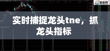 实时捕捉龙头tne，抓龙头指标 