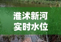 淮沭新河实时水位表，淮沭新河钓鱼怎么样 