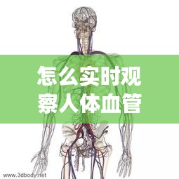 怎么实时观察人体血管，如何测量血管是否健康 