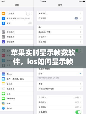 一花独放 第3页