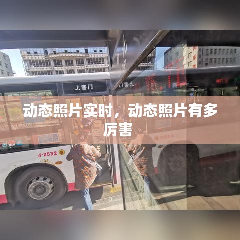 如鸟兽散 第3页