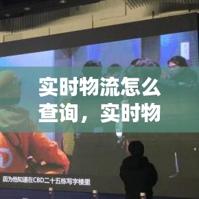 实时物流怎么查询，实时物流信息 