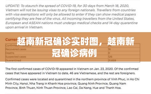 越南新冠确诊实时图，越南新冠确诊病例 