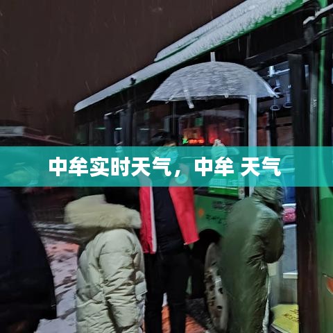 棒打出头鸟 第3页