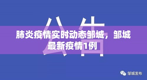 肺炎疫情实时动态邹城，邹城最新疫情1例 