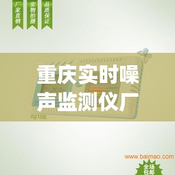 重庆实时噪声监测仪厂家，噪声监测仪app 