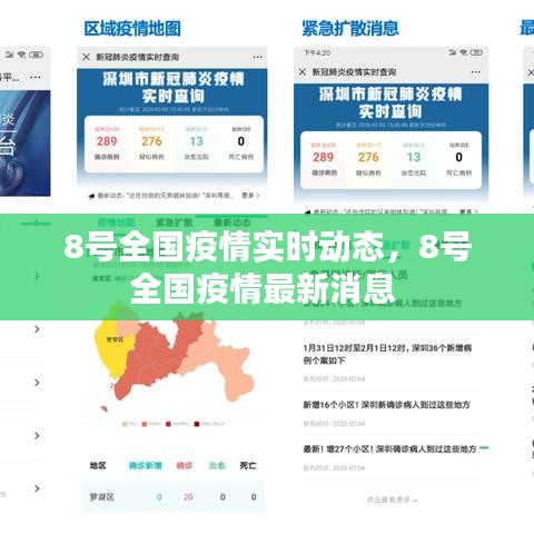 8号全国疫情实时动态，8号全国疫情最新消息 