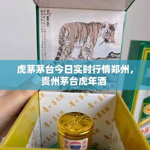 虎茅茅台今日实时行情郑州，贵州茅台虎年酒 