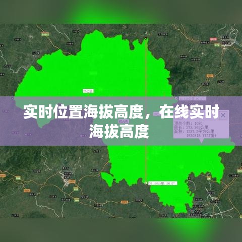 百鸟齐鸣 第5页