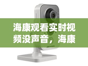 海康观看实时视频没声音，海康监控回放没有声音 