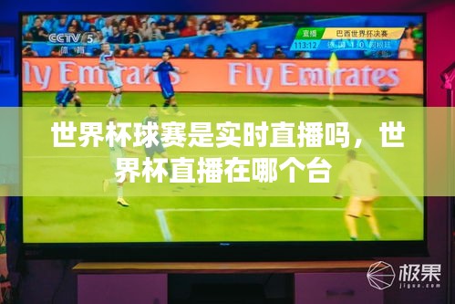 世界杯球赛是实时直播吗，世界杯直播在哪个台 