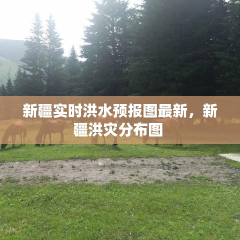 新疆实时洪水预报图最新，新疆洪灾分布图 