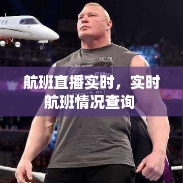 航班直播实时，实时航班情况查询 