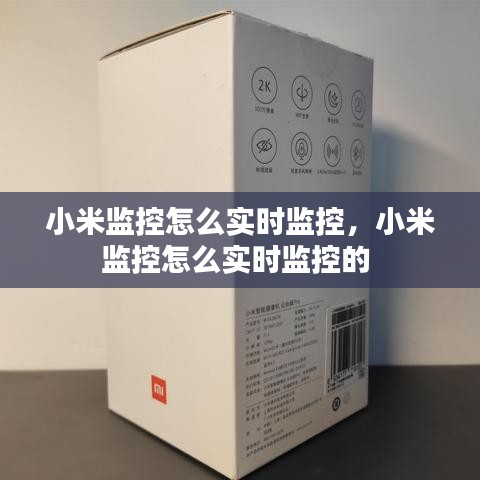 张灯挂彩 第3页