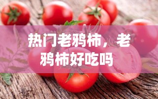 热门老鸦柿，老鸦柿好吃吗 