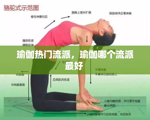 瑜伽热门流派，瑜伽哪个流派最好 