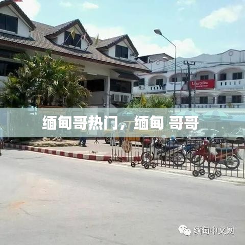 缅甸哥热门，缅甸 哥哥 