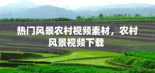 千辛万苦 第3页