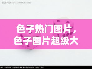 色子热门图片，色子图片超级大 