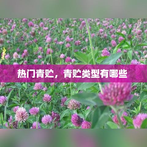 富贵逼人 第3页