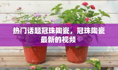 热门话题冠珠陶瓷，冠珠陶瓷最新的视频 