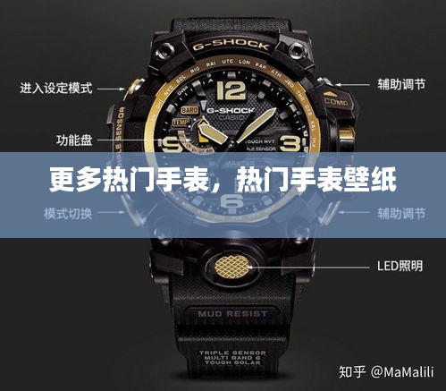 更多热门手表，热门手表壁纸 