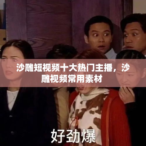 沙雕短视频十大热门主播，沙雕视频常用素材 