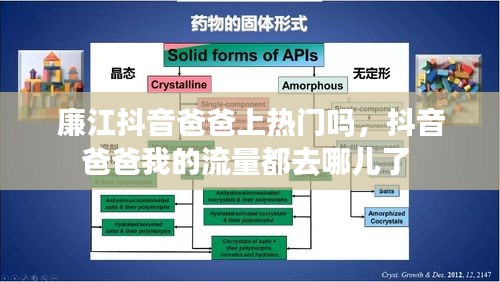 廉江抖音爸爸上热门吗，抖音爸爸我的流量都去哪儿了 