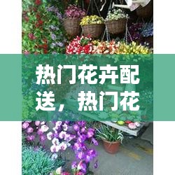 热门花卉配送，热门花卉配送平台 