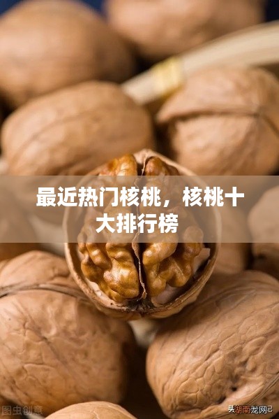 迷离马虎 第3页