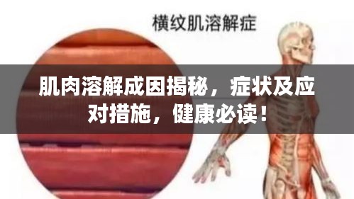 肌肉溶解成因揭秘，症状及应对措施，健康必读！