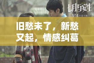 旧愁未了，新愁又起，情感纠葛何时解？
