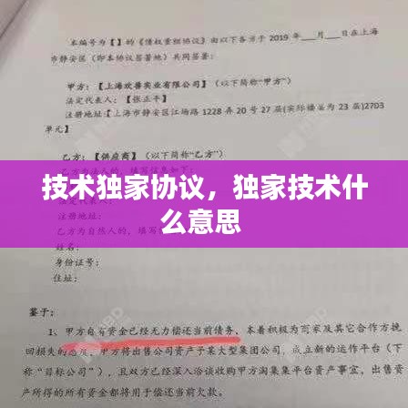 技术独家协议，独家技术什么意思 