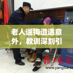 东成西就 第3页