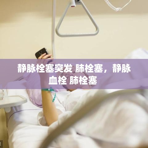 忠心耿耿 第3页