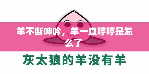羊不断呻吟，羊一直哼哼是怎么了 