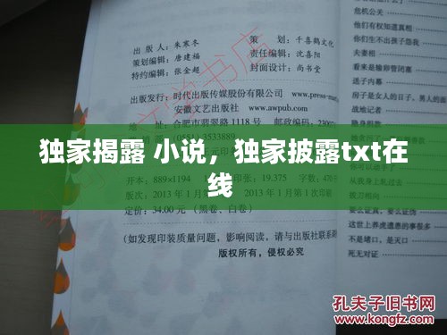 独家揭露 小说，独家披露txt在线 