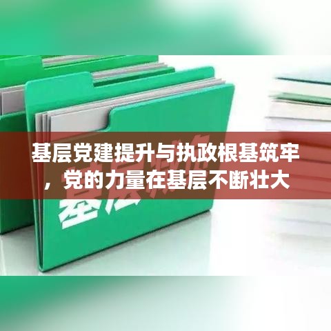 基层党建提升与执政根基筑牢，党的力量在基层不断壮大
