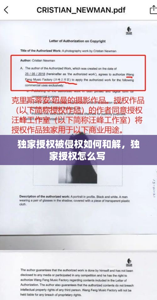 独家授权被侵权如何和解，独家授权怎么写 