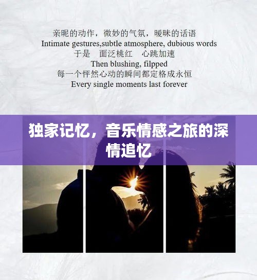 独家记忆，音乐情感之旅的深情追忆