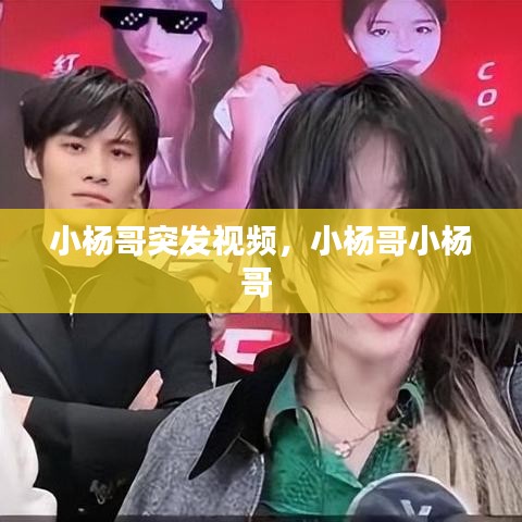 凤凰于飞 第2页