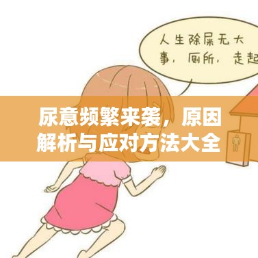 尿意频繁来袭，原因解析与应对方法大全