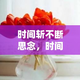 继晷焚膏 第2页