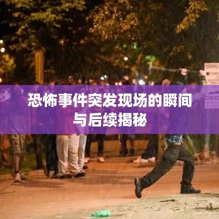 恐怖事件突发现场的瞬间与后续揭秘