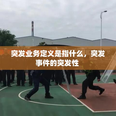 突发业务定义是指什么,突发事件的突发性