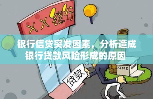 银行信贷突发因素，分析造成银行贷款风险形成的原因 