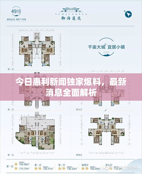 今日惠利新闻独家爆料，最新消息全面解析