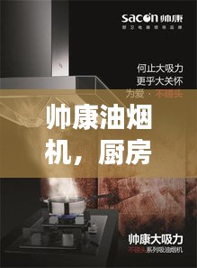 鞭驽策蹇 第3页
