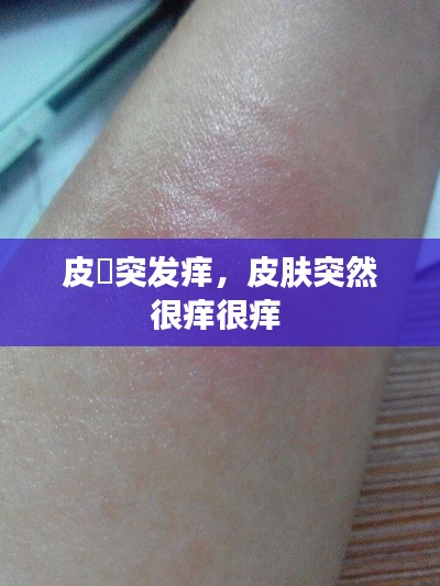 还淳反朴 第3页