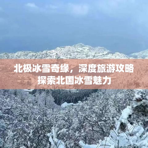 北极冰雪奇缘，深度旅游攻略探索北国冰雪魅力